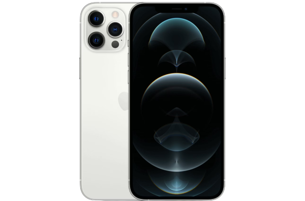 iPhone 12 Pro Max 256 GB Zilver