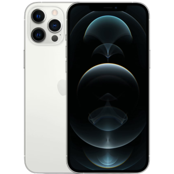 iPhone 13 Pro Max 256 GB Zilver
