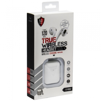 True Wireless Oordopjes