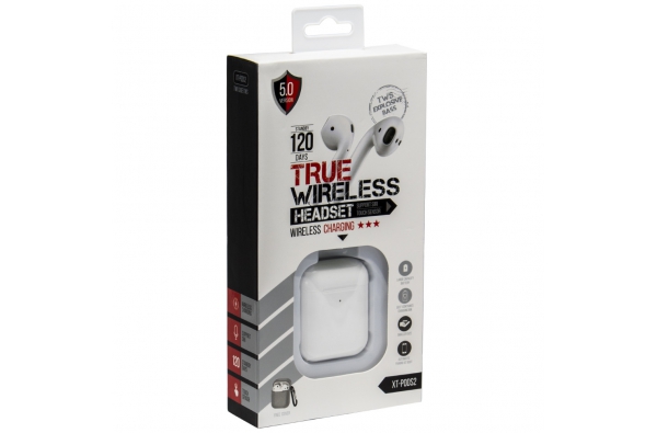 True Wireless Oordopjes